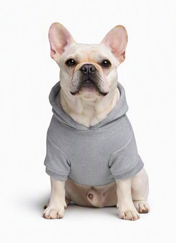Dog Hoodies