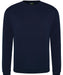 rx301 Navy front