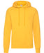 ss224 Sunflower front