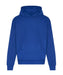 jh120 Bright Royal front
