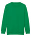 jh30j Kelly Green front