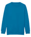 jh30j Sapphire Blue front