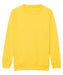 jh30j Sun Yellow front