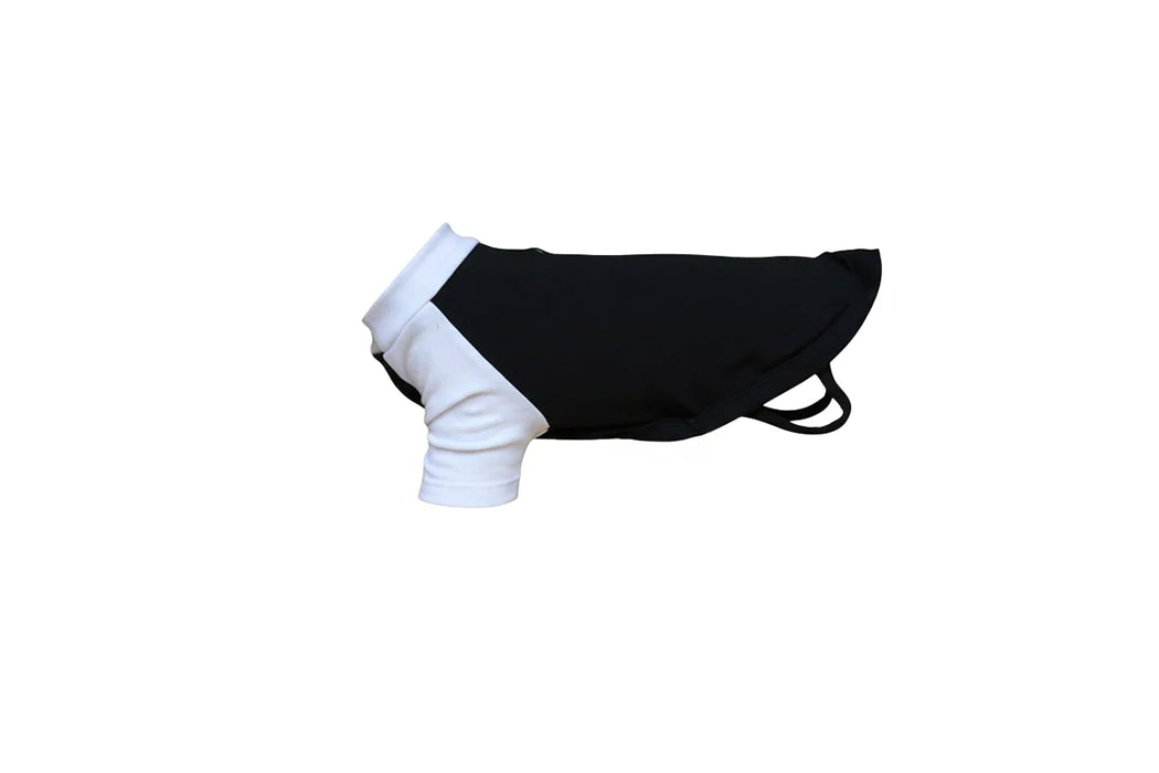 Dog’s raglan t-shirt