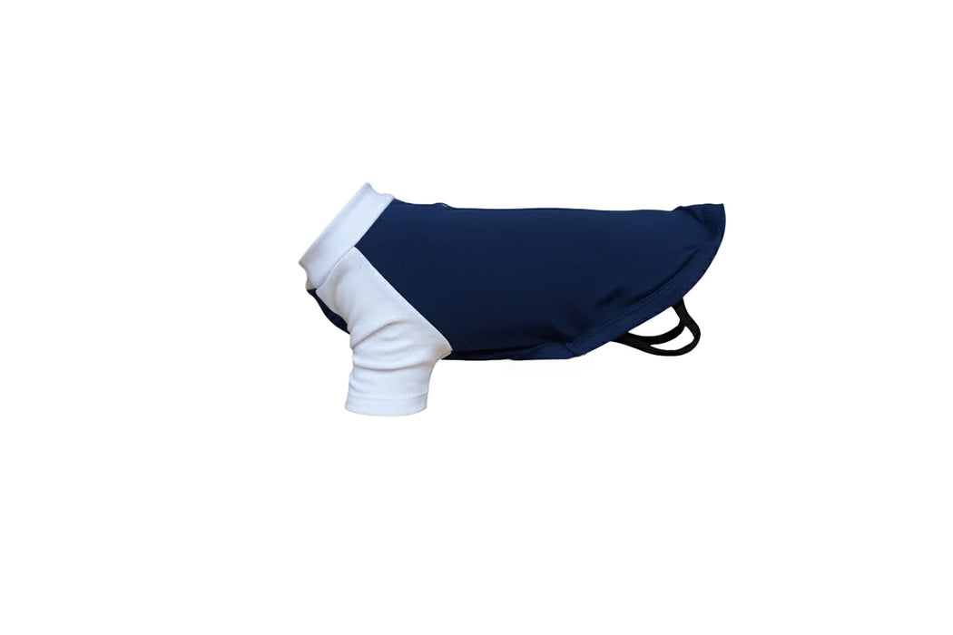 Dog’s raglan t-shirt
