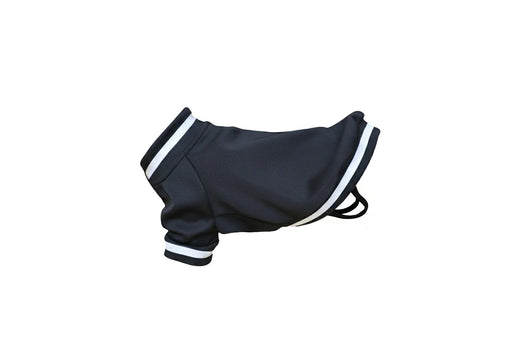 Dog’s varsity jacket
