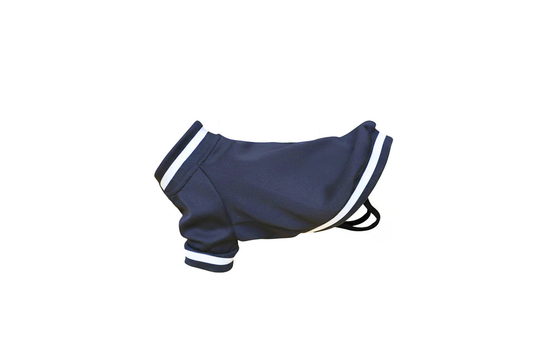 Dog’s varsity jacket