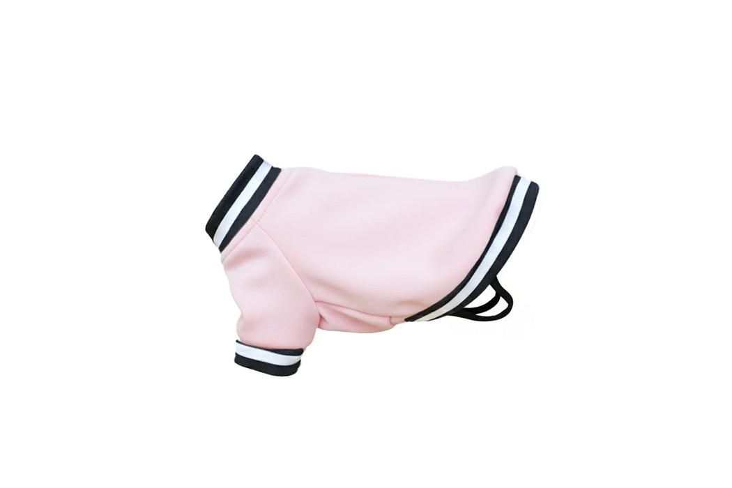 Dog’s varsity jacket