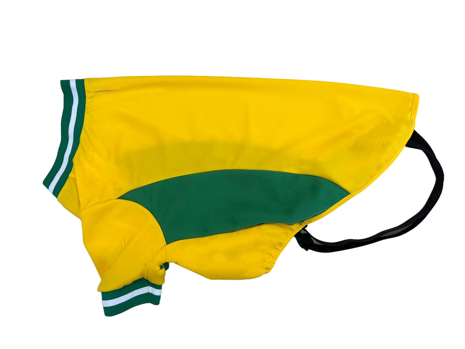 Dog’s football t-shirt