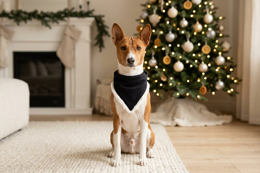 Dog’s Christmas bandana