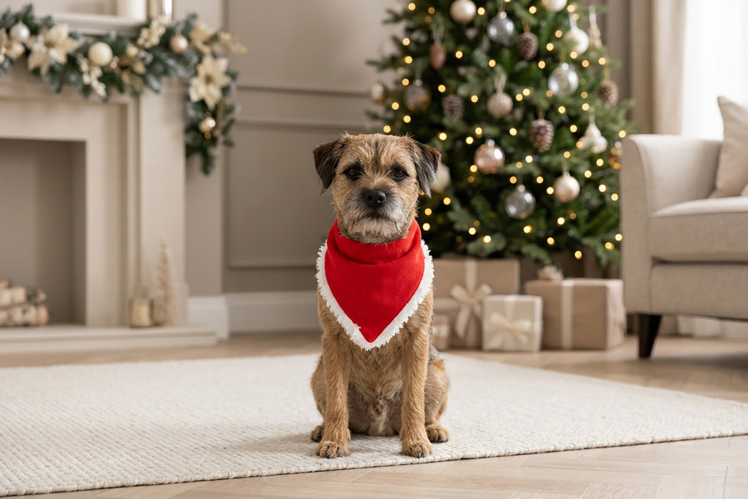Dog’s Christmas bandana