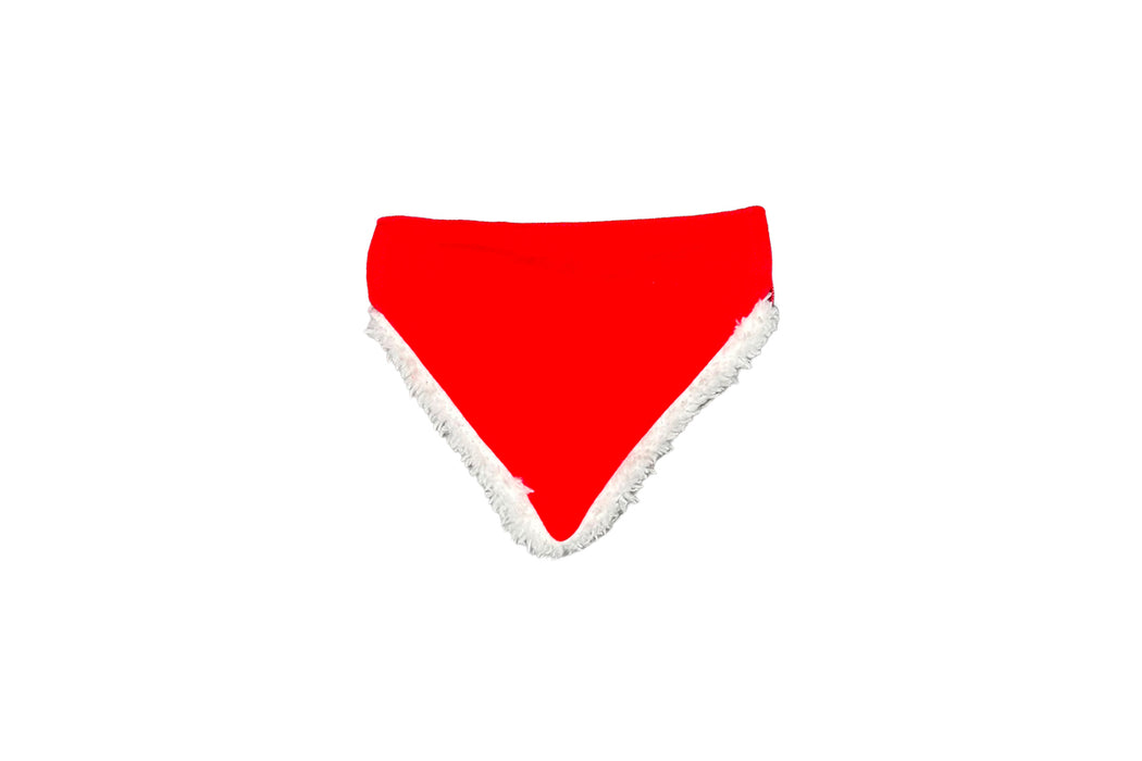 Dog’s Christmas bandana
