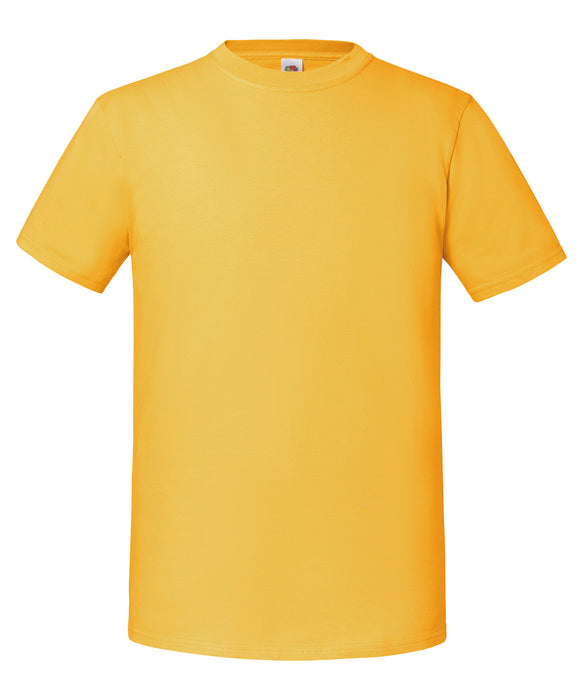 ss422 Sunflower front