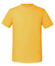 ss422 Sunflower front