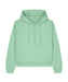 sx259 Misty Jade front