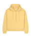 sx259 Viva Yellow front